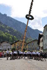 maibaum aufstellen 25 