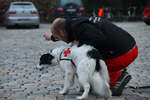 rettungshundearbeit reichenhall 03 