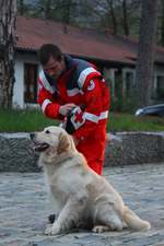 rettungshundearbeit reichenhall 05 