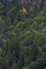 bewusstloser lattengebirge 02 