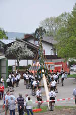 maibaum 00 