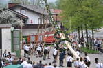 maibaum 04 