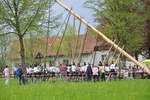 maibaum 09 