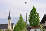 maibaum 23 