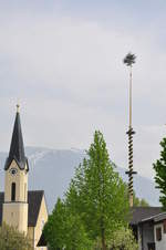 maibaum 25 