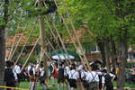 maibaum 29 