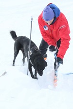 übung hundestaffel 03 