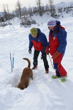 übung hundestaffel 05 