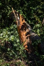 unfall b20 triebenbach 02 