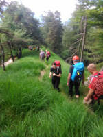 rettung freimahderkopf 02 