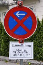 baumfällungen rhall 02 