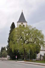 baumfällungen rhall 09 