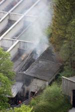 brand nesselgraben 02 