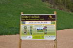 wildbienenwiese 10 