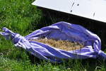 wildbienenwiese 12 