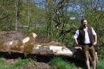 wildbienenwiese 16 