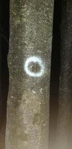 verstiegene kienberg 01 