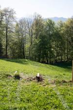 pkwabsturz untersalzberg 01 