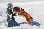 hundeübung schneizlreuth 004 