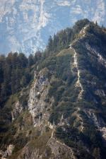 rettung grünstein 01 