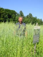 berchtesgadener vogel 00 