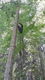 einsätze bergwacht 00 