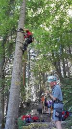 einsätze bergwacht 01 