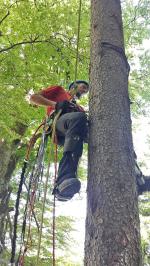 einsätze bergwacht 02 