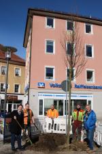 linden unterer lindenplatz 00 