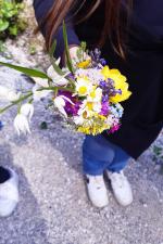 verstöße nationalpark 02 