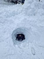 lawinenhundeprüfung 001 