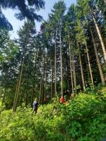 rettung staufen untersberg 04 