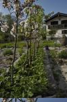 naturgartenzertifizierung 00 