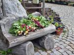 naturgartenzertifizierung 02 