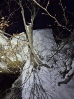 hunderettung roßfeld 01 