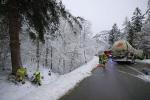 unfall oberjettenberg 05 