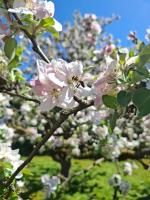 naturgartenzertifizierung 00 