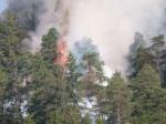 waldbrand thumsee2013 00 