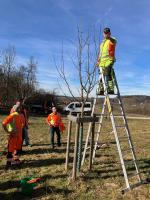 obstbaumschnitttraining 00 